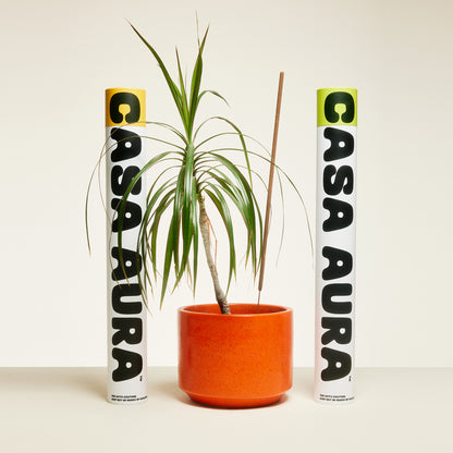¡Bundle! LEMONGRASS + CITRONELLA :: 'GIGANTE' XX-Long Burn (15 Sticks/Pack x 2)
